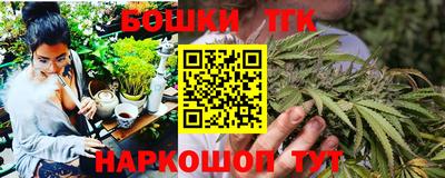 индика Гагарин