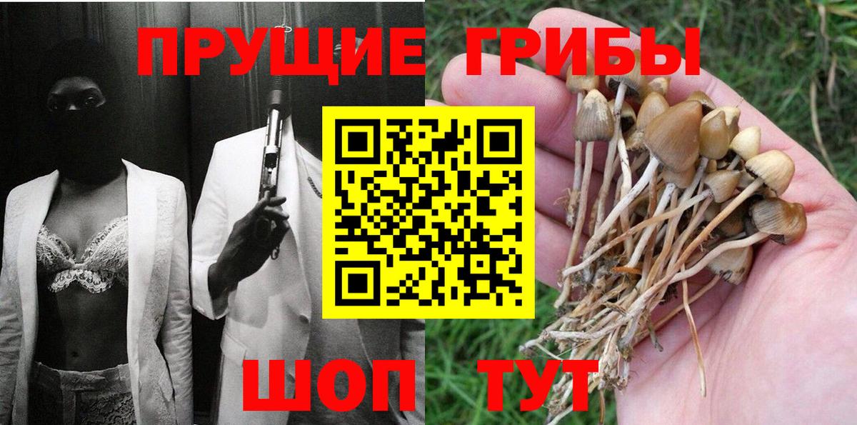 как найти закладки  Галлюциногенные грибы ЛСД  Вход с VPN  Ачхой-Мартан  Псилоцибиновые грибы Psilocybine cubensis 
